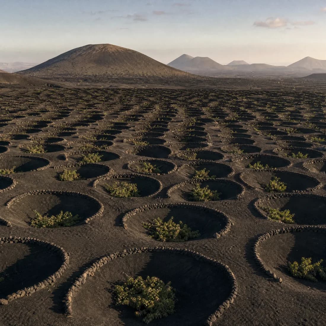 Lanzarote